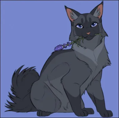 Quel est le nom de chaton de Museau Cendré ?