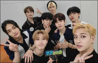 Si tu devais choisir un statut dans un groupe K-pop ce serait lequel ?