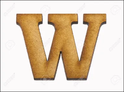 Allez, on poursuit. Qu'est-ce qu'un wok ?