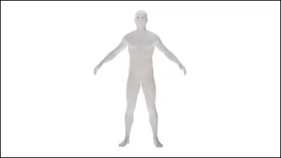 Dans quelle articulation du corps humain se trouve la rotule ?