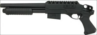 Comment s'appelle cette arme ?