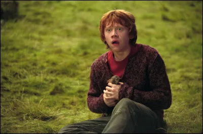 Quel est le nom complet de Ron ?