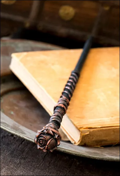 Quel est le matériau de la baguette que Ron ramène à son retour ?