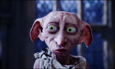 Quels sont les derniers mots de Dobby ? (Livre uniquement)