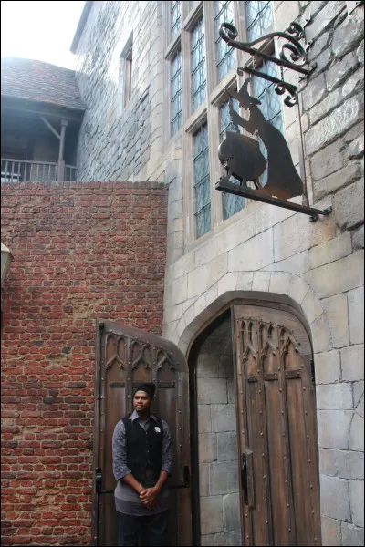 Dans le 3, quel est le numéro de la chambre de Harry au Chaudron Baveur ?