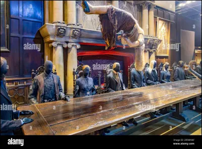 Qui est le professeur d'étude des moldus avant les Carrow ?