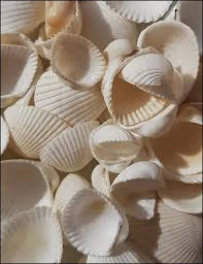 Si tu préfères, voici aussi ces couleurs !