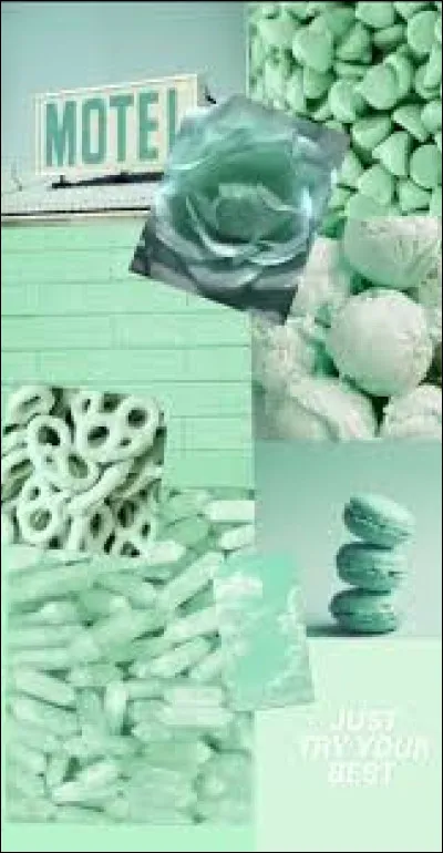 Quelles sont tes préférences sur le fond décran ?