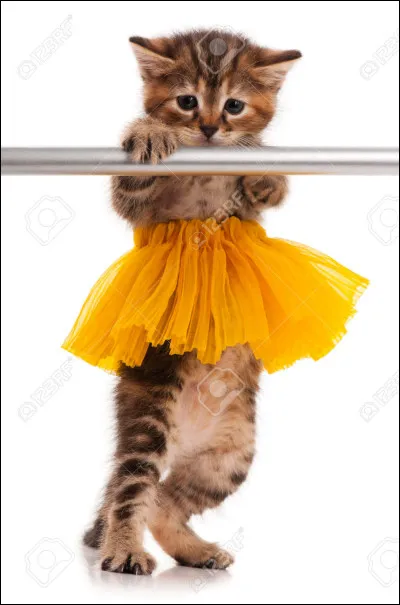 Désolé, question subtile : a-t-il souvent le nez mouillé ?