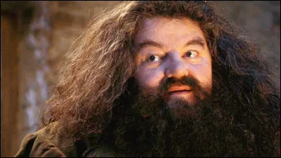 Quelle matière Hagrid a-t-il eu la chance d'enseigner ?