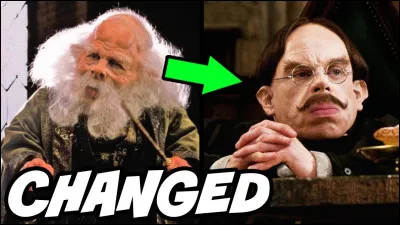 Qu'enseigne le professeur Flitwick ?
