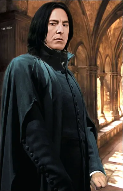 Quelle matière Severus Rogue enseignait-il ?