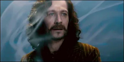 Qui a froidement assassiné le parrain de Harry Potter ?