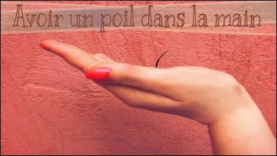 Que veut dire l'expression "avoir un poil dans la main" ?