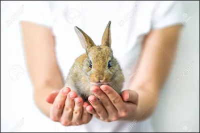Que veut dire "poser un lapin" ?