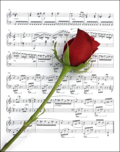 Qui a écrit cette chanson dont je vous donne le début : 
"Puisqu'on ne vivra jamais tous les deux, puisqu'on est fou, puisqu'on est seul, puisqu'ils sont si nombreux..." ?