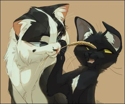 Tu pars en patrouille et vois &agrave; la fronti&egrave;re du Clan du Vent un chat qui attend. Tu fonces vers lui et reconnais Nuit C&eacute;leste ton ancien meilleur ami qui a quitt&eacute; ton clan pour sa nouvelle compagne. Tu lui demandes ce qu'il fait l&agrave; et il implore ton aide ! Il a besoin de l'aide de ta patrouille car son clan est envahi par des chiens ! Que fais-tu ?