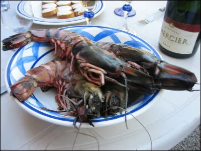 Ces énormes crustacés qui dépassent le plat s'appellent des camerones et proviennent de Madagascar. Que sont-ils exactement ?