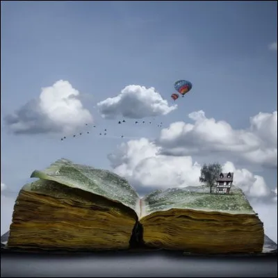 Un homme entre à la bibliothèque "Quel livre cherchez-vous ?" lui demande la bibliothécaire" - Le titre est "L'Homme parfait'' :