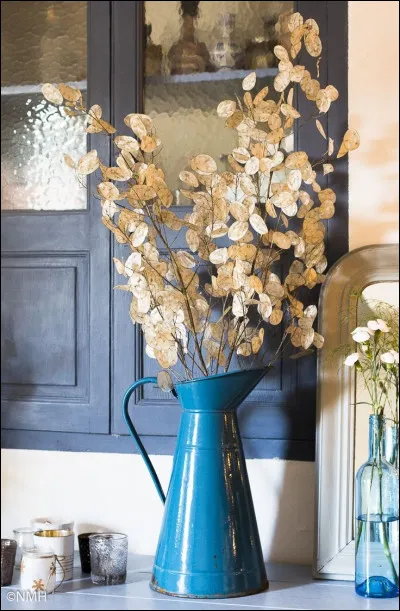 Toujours à propos des monnaies du pape qui prennent cette belle apparence en automne, de quelle couleur sont ses fleurs au printemps ?