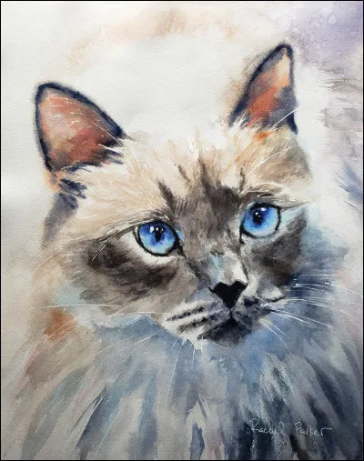 Vous voyez dans votre clan une chatte enceinte, que dites-vous ?