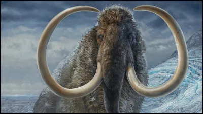 Que leur est-il arriv&eacute; une fois rentr&eacute;s dedans ?