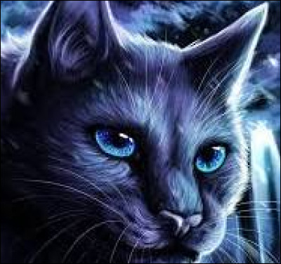 Quel est ce personnage ?