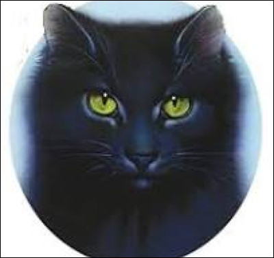 Quel est ce personnage ?