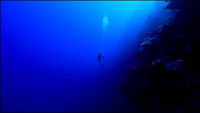 Qui est la première cible de vengeance d'Ombre d'Érable ?