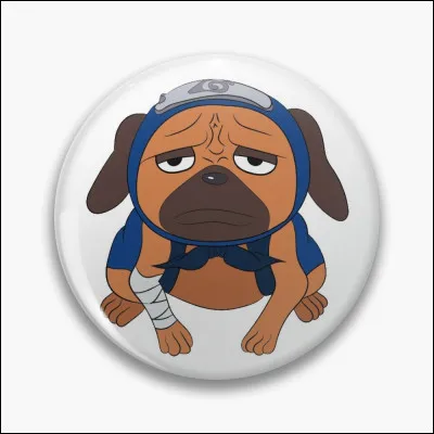 Comment s'appelle le chien de Kakashi ?