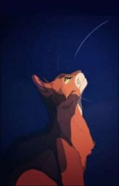 Qui sont ses compagnons ?