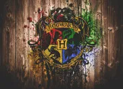 Quiz Harry Potter La maison des personnages de la saga