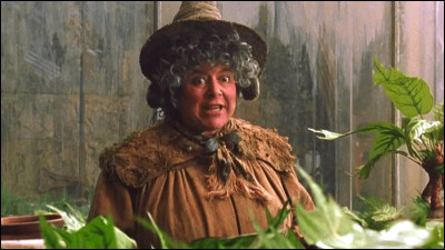 Quelle est la maison de Pomona Chourave ?