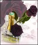 Qui tait l'interprte de ces paroles de chansons 'Les copains m'appellent six roses, et je ne comprends pas pourquoi' ?