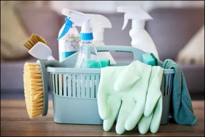 Vrai ou faux ? Le mot "cheni" dans le centre-est de la France, désigne la poussière.