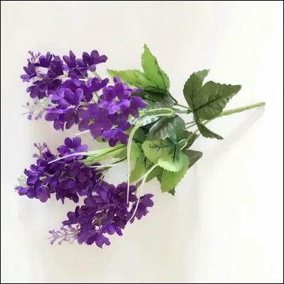 Es-tu déjà allé(e) à une fête ?