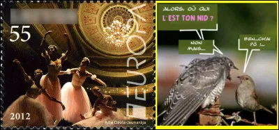 Une chose est sûre : ici, on ne pratique guère la langue de bois mais celle de... [Complétez !]