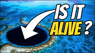 Où se situe "The Great Blue Hole" inscrit au patrimoine de l'humanité et popularisé par le reportage du commandant Cousteau ?