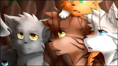 Qui va-t-il emmener vers le Clan du Ciel ?