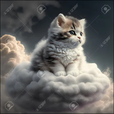 Quel prophétie reçoit-il ?