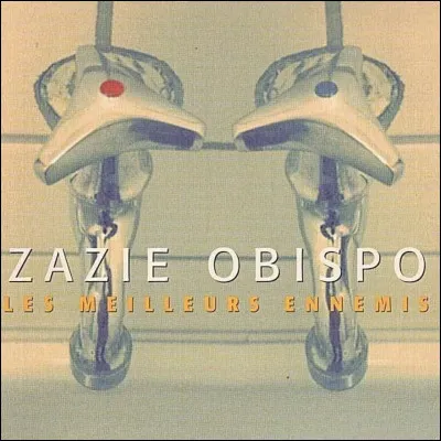 "Les Meilleurs Ennemis" : Complétez ces paroles de Pascal Obispo : "Et tant pis si l'on est
Le mariage du ciel et...".