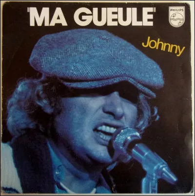 "Ma gueule" : Qu'est-ce que Johnny Hallyday prend au mot ?