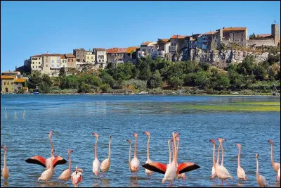 Quel est ce magnifique étang lagunaire du département de l'Aude qui borde le village de Bages (en photo) et qui communique avec la mer par le grau de Port-la-Nouvelle ?