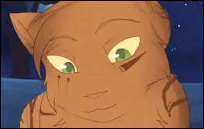 Le temps passe, et tu es heureux comme tu es. Tu gardes contact avec Tige de Roseau et cela te fait toujours plaisir de le retrouver aux assemblées pour discuter de tout et de rien. Lorsque tu lui as présenté ta compagne, il ta semblé apercevoir un éclair de déception dans ses beaux yeux verts, mais tu as sûrement dû rêver. Un jour, une bataille va éclater entre le clan de ton ami et le tien