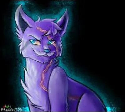 Tu pars au combat en décidant déviter ton ami. Arrivé, tu vois que le Clan de la Rivière est déjà là. 
« À lattaque ! » sécrie alors le chef ennemi. Tu parviens à faire fuir tous tes opposants, car lentraînement que ta dispensé il de Corbeau a au moins eu le mérite de porter ses fruits. Tu aperçois dailleurs fugitivement le fantôme dans la mêlée de crocs et de griffes.