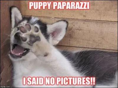 Et enfin, à quoi ressemble-t-il ?