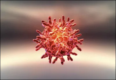 Les arbres absorbent-ils les virus ?