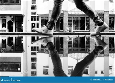 Combien peux-tu faire de pas au maximum ?