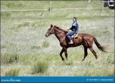 Quel héros parcourt la Russie d'ouest en est pour remettre, au fond de la Sibérie, une lettre du tsar à son frère ?