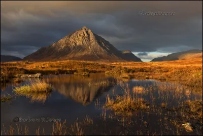 Son unique roman est l'une des plus belles histoires d'amour de tous les temps, mettant en scène deux héros tragiques, Cathy et Heathcliff.